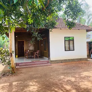 Homestay The Munroe Villagio Homey